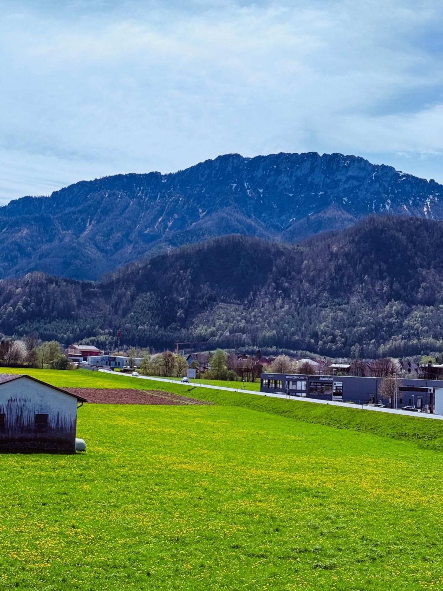Zentrale Wohnung Mit Alpenblick Micheldorf in Oberosterreich Luaran gambar